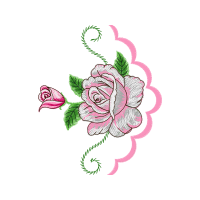 Garden Roses Flowers Garden Roses Flowers