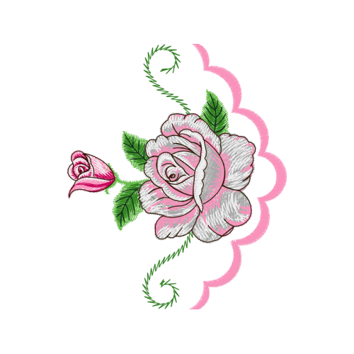 Garden Roses Flowers Garden Roses Flowers