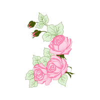 Garden Roses Flowers