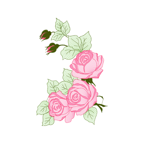 Garden Roses Flowers Garden Roses Flowers