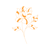 Garden Roses Flowers