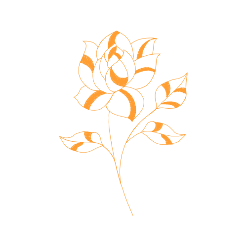 Garden Roses Flowers Garden Roses Flowers