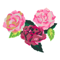 Garden Roses Flowers