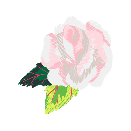 Garden Roses Flowers Garden Roses Flowers