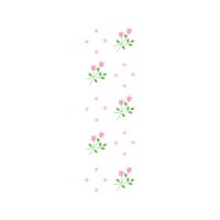 Garden Roses Flowers Garden Roses Flowers