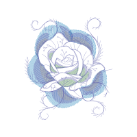 Garden Roses Flowers Garden Roses Flowers