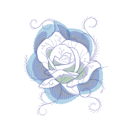 Garden Roses Flowers Garden Roses Flowers