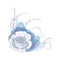 Garden Roses Flowers Garden Roses Flowers