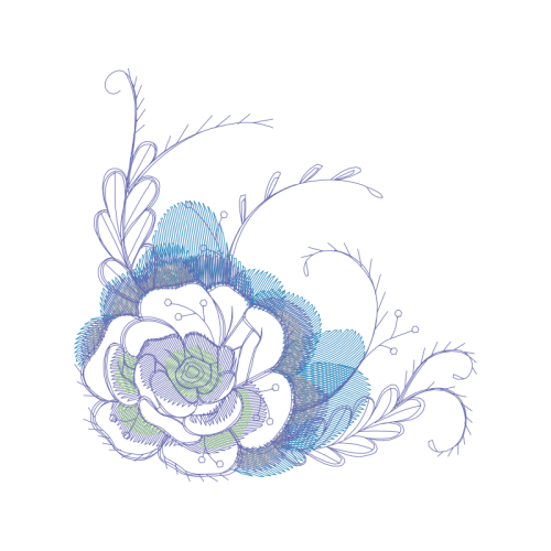 Garden Roses Flowers Garden Roses Flowers