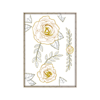 Garden Roses Flowers Garden Roses Flowers