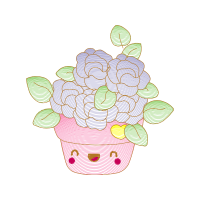 Garden Roses Flowers Garden Roses Flowers