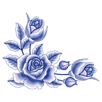 Garden Roses Flowers Garden Roses Flowers