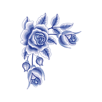 Garden Roses Flowers Garden Roses Flowers