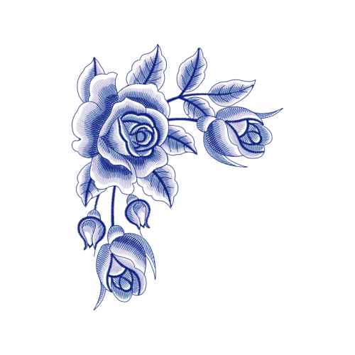 Garden Roses Flowers Garden Roses Flowers