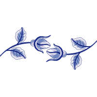 Garden Roses Flowers Garden Roses Flowers