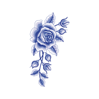 Garden Roses Flowers Garden Roses Flowers