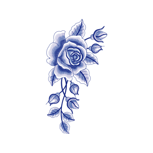 Garden Roses Flowers Garden Roses Flowers