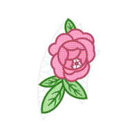 Garden Roses Flowers Garden Roses Flowers