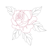 Garden Roses Flowers Garden Roses Flowers