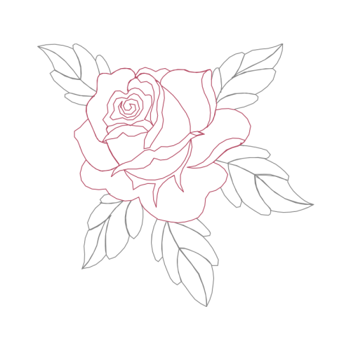 Garden Roses Flowers Garden Roses Flowers