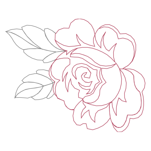 Garden Roses Flowers Garden Roses Flowers