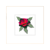 Garden Roses Flowers Garden Roses Flowers