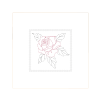 Garden Roses Flowers Garden Roses Flowers