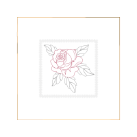 Garden Roses Flowers Garden Roses Flowers