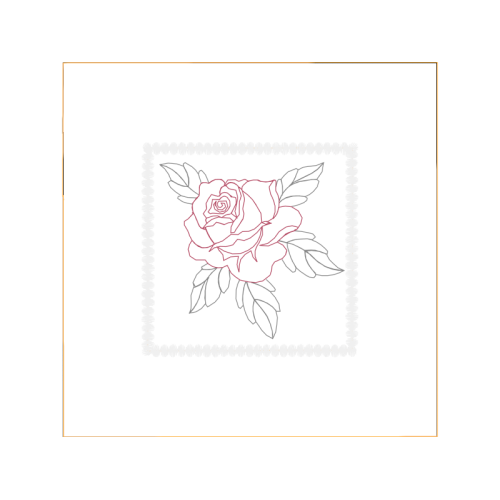 Garden Roses Flowers Garden Roses Flowers