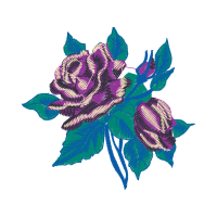 Garden Roses Flowers Garden Roses Flowers