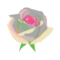 Garden Roses Flowers