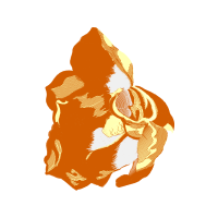 Garden Roses Flowers Garden Roses Flowers