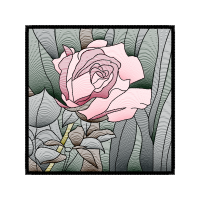 Garden Roses Flowers