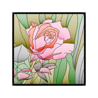 Garden Roses Flowers