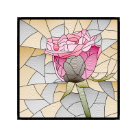 Garden Roses Flowers