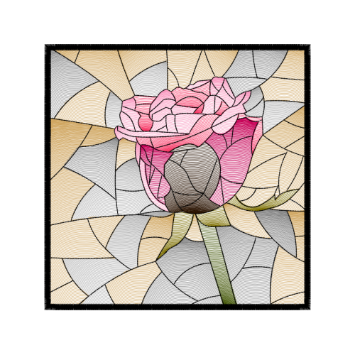 Garden Roses Flowers Garden Roses Flowers