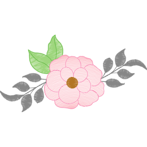 Garden Roses Flowers Garden Roses Flowers