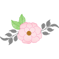 Garden Roses Flowers Garden Roses Flowers