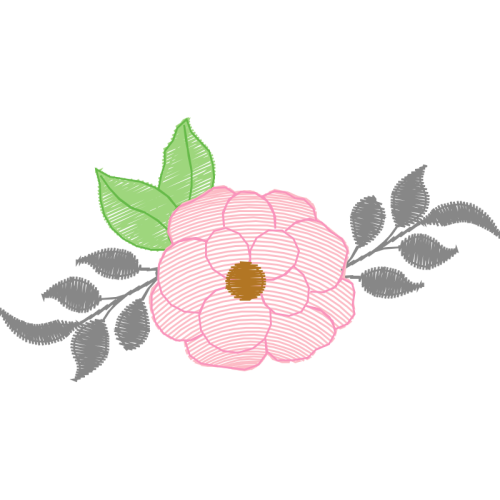 Garden Roses Flowers Garden Roses Flowers