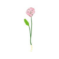 Garden Roses Flowers Garden Roses Flowers