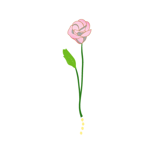 Garden Roses Flowers Garden Roses Flowers