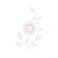 Garden Roses Flowers Garden Roses Flowers