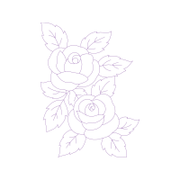 Garden Roses Flowers