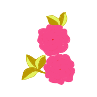 Garden Roses Flowers Garden Roses Flowers