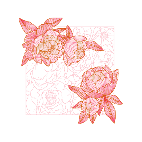 Garden Roses Flowers Garden Roses Flowers