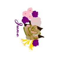 Garden Roses Flowers Garden Roses Flowers