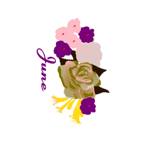 Garden Roses Flowers Garden Roses Flowers