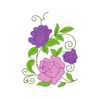 Garden Roses Flowers