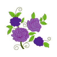 Garden Roses Flowers