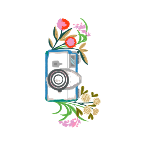 Garden Roses Flowers Garden Roses Flowers